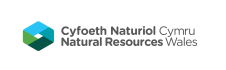 cyfoethnaturiolcymru